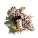 see more listings in the Perfume Samples/ Minis section