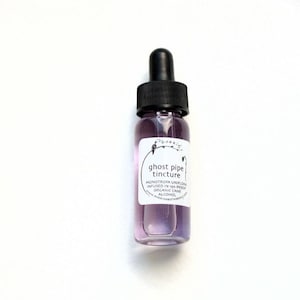 Ghost Pipe Tincture - organic alcolohol with fresh foraged Monotropa uniflora - 1 oz - July 2026 batch