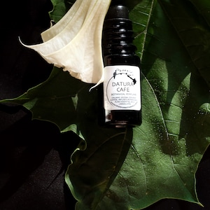 May include: A small, dark glass bottle with a white label that reads "Datura Cafe Botanical Perfume" and lists ingredients including "organic jojoba oil" and "coffee infused botanicals". The bottle is sitting on a green leaf.