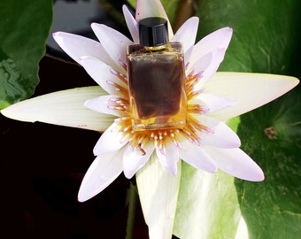 Lotus Pollinator -  Incandescent Floral Green Tea Amber - natural perfume- choose your size