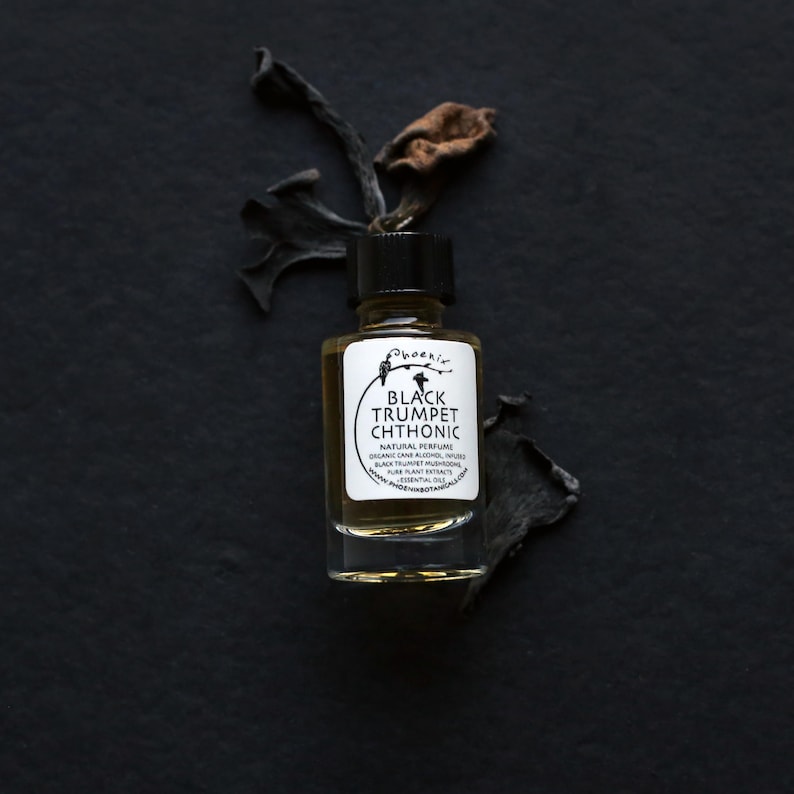 May include: A small glass bottle of black trumpet chthonic natural perfume. The bottle has a black cap and a white label with the text "Phoenir Black Trumpet Chthonic Natural Perfume Organic Cane Alcohol,  Black Trumpet Mushroom, Pure Plant Extracts, Essential Oils www.phoenirbotanicals.com".