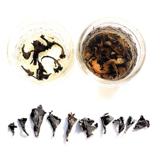 May include: Two glass containers, one with a light brown liquid and the other with a clear liquid. Both containers contain dried black mushroom pieces. A row of ten dried black mushroom pieces are arranged on a white surface.