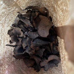 May include: A paper bag filled with dried black mushrooms. The mushrooms are arranged in a pile and are a dark brown color.