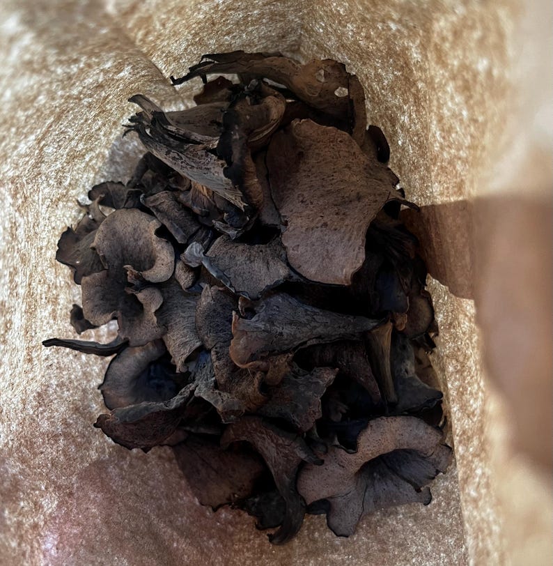 May include: A paper bag filled with dried black mushrooms. The mushrooms are arranged in a pile and are a dark brown color.