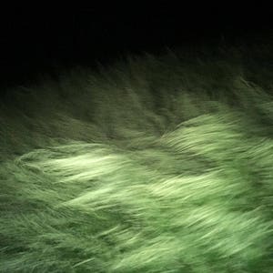 Pode incluir: Um close-up de uma superf&iacute;cie verde e felpuda que se assemelha a grama ou pele. A superf&iacute;cie &eacute; iluminada por uma fonte de luz de cima, criando um brilho suave e difuso.