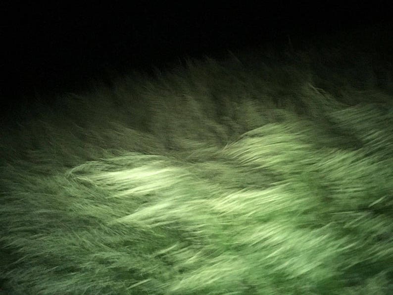 Pode incluir: Um close-up de uma superf&iacute;cie verde e felpuda que se assemelha a grama ou pele. A superf&iacute;cie &eacute; iluminada por uma fonte de luz de cima, criando um brilho suave e difuso.