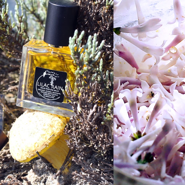 Lilac Rain - Hypnotic Lilac and Spices Botanical Perfume with Vintage Clove + Tobacco - choose your size