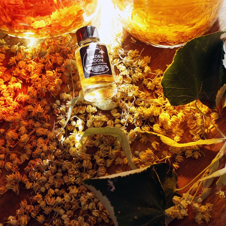 Peut inclure: Un petit flacon en verre de parfum botanique Linden Moon avec une &eacute;tiquette noire et des lettres dor&eacute;es. Le flacon est pos&eacute; sur une surface recouverte de fleurs jaunes s&eacute;ch&eacute;es et de feuilles vertes.