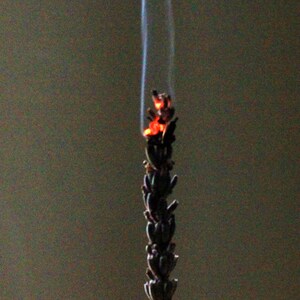 May include: A dried lavender sprig is burning with a small orange flame and smoke rising from the top.