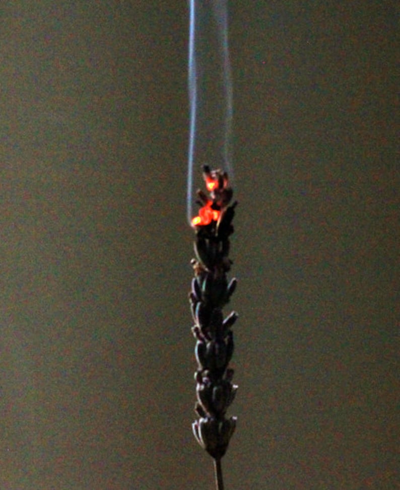 May include: A dried lavender sprig is burning with a small orange flame and smoke rising from the top.