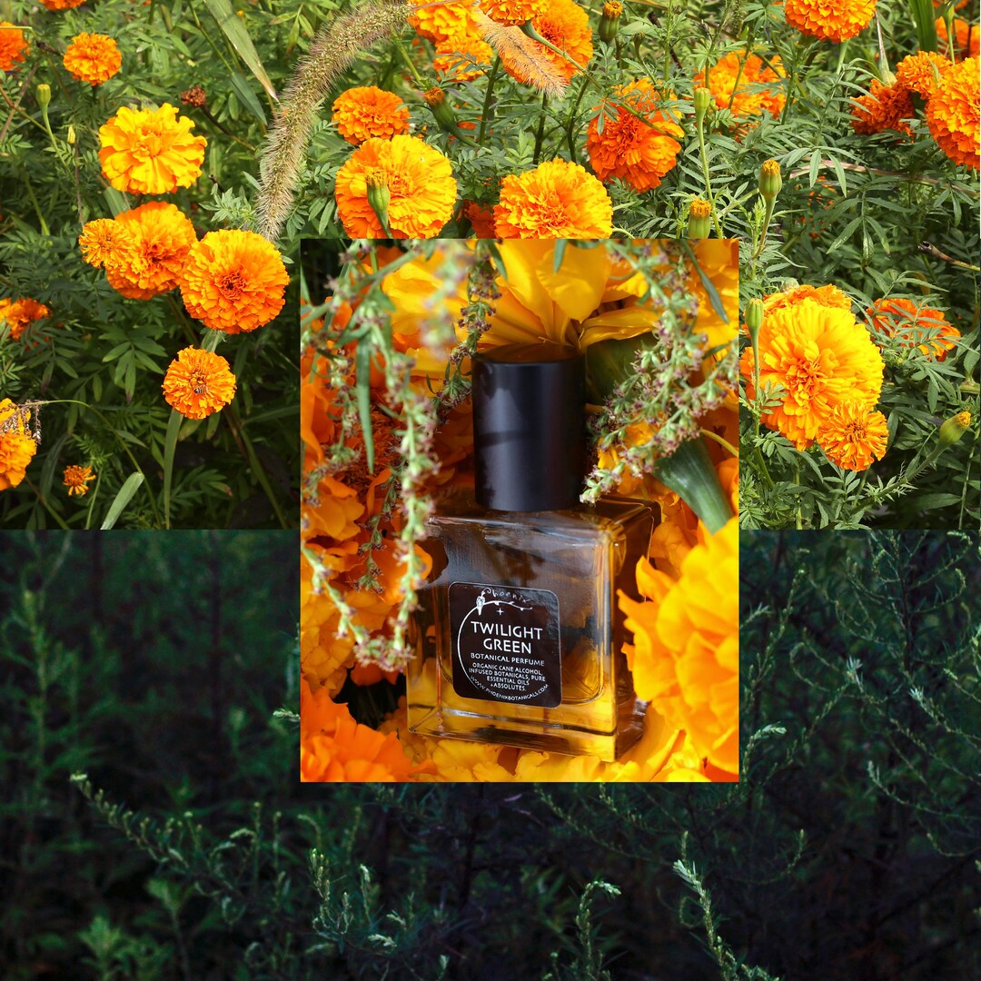 Buy Twilight Green Wild, Meditative Noir, Dark Floral