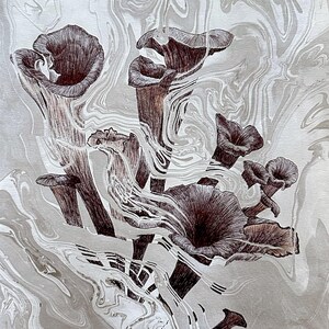 May include: A black and white ink drawing of a cluster of trumpet-shaped mushrooms on a marbled background.