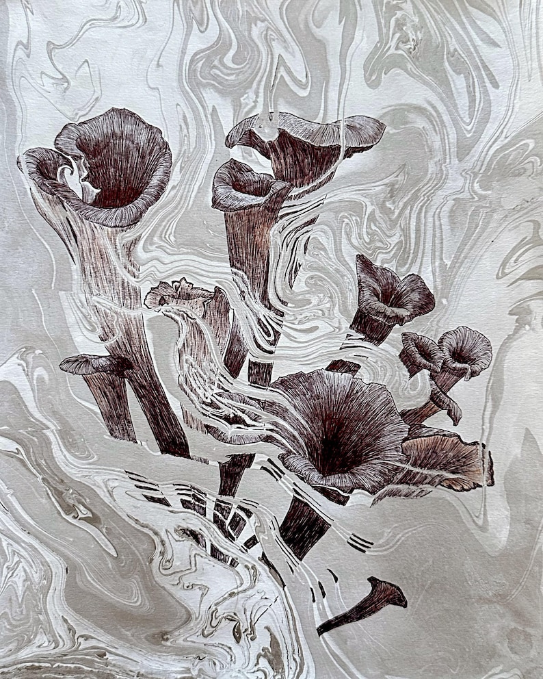 May include: A black and white ink drawing of a cluster of trumpet-shaped mushrooms on a marbled background.