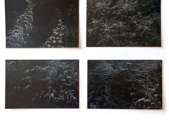 Blooming Mugwort Twilight - postcard size photo prints - pick one or set of 4