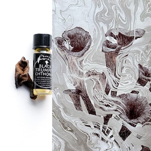 May include: A small glass bottle with a black label that reads "Black Trumpet Chthon" and contains a natural perfume. The bottle is sitting on a white surface in front of a drawing of black trumpet mushrooms on a marbled background.