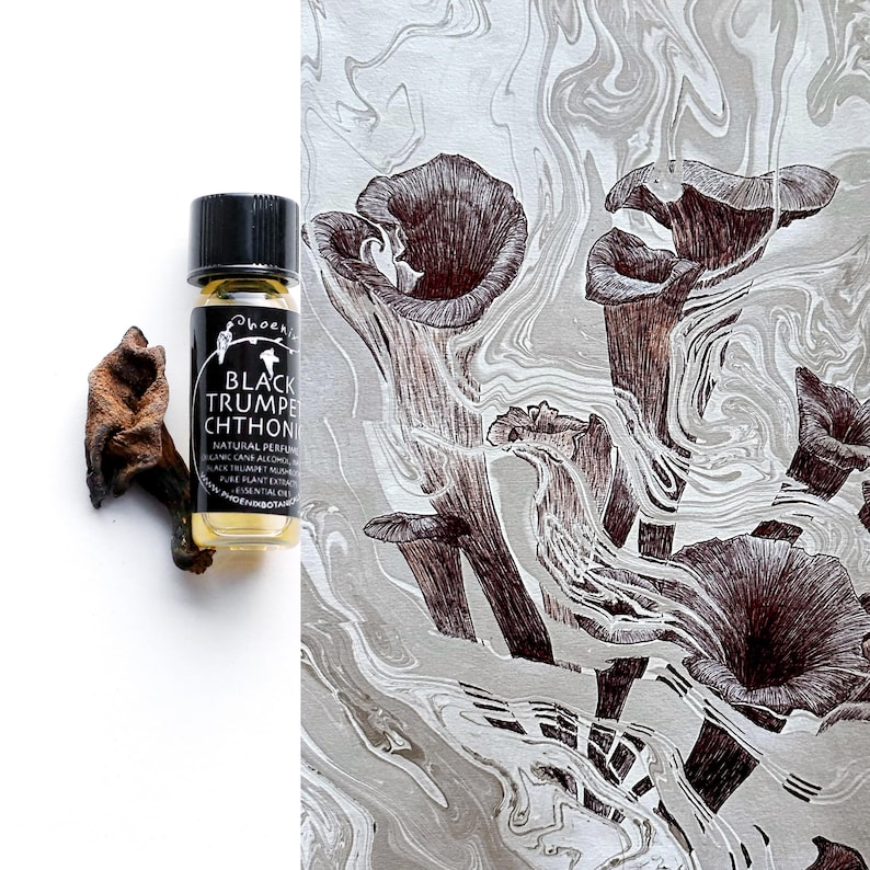 May include: A small glass bottle with a black label that reads "Black Trumpet Chthon" and contains a natural perfume. The bottle is sitting on a white surface in front of a drawing of black trumpet mushrooms on a marbled background.