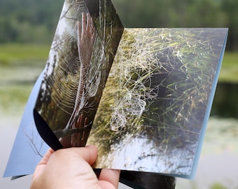 Spider Creek/ Drought Summer - a photo book/ zine, poster, or stand-up sculpture.