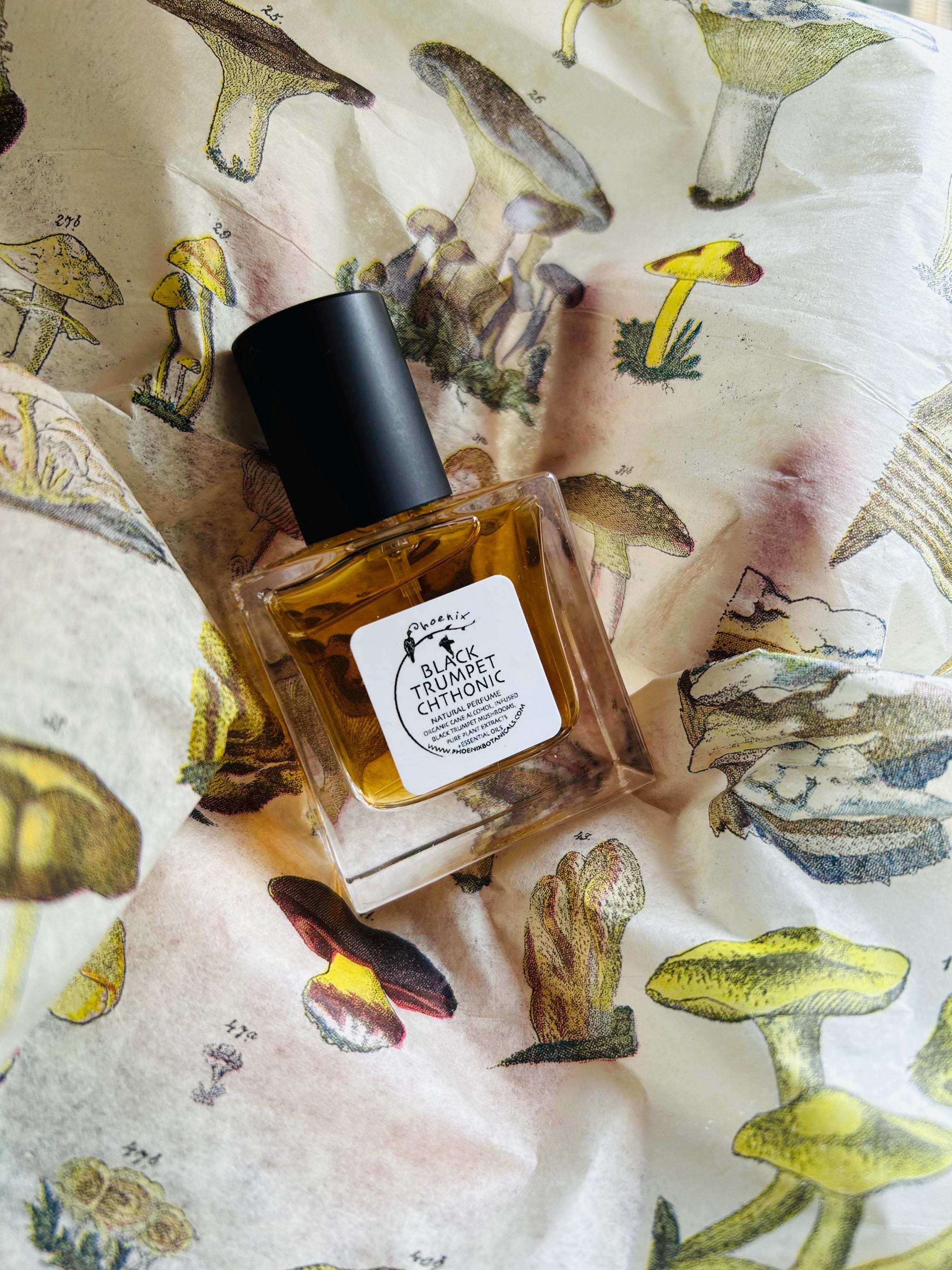 Black Trumpet Chthonic - a Delightful Mushroom Infused Gourmand