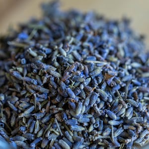 Fiori di lavanda secchi