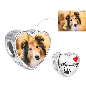 Photo charm Bracelet Fits Pandora bracelet, Personalized Pet Memorial Bracelet, Personalized Dog Gift, 925 Sterling Silver, Pet Loss Jewelry