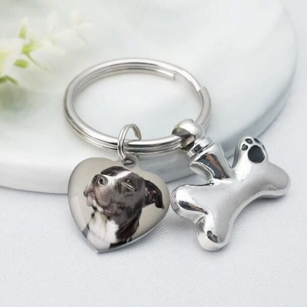 Dog Urn With Photo Keychain Etsy