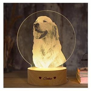 Custom Photo 3D Lamp Desk Lamp, Night Light, Handmade, pet memorial gift, custom dog lamp