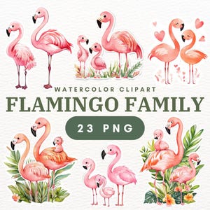 23 Flamingo Family PNG Clipart - Flaming clipart, Pink Flamingo, Flamingo Watercolor, Tropical Bird, Flamingo Beach, Cute Flamingo.