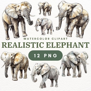 12 PNG Realistic Elephant Clipart – Cute Cartoon Indian, Asian & African Elephants, Watercolor Paintings, Elephant Family PNG