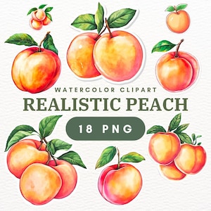 18 PNG Peach Clipart, Summer Fruit PNG, Fruit Clip Art, Peaches PNG, Food Clipart, Peach Illustration, Instant Download