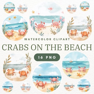 16 Crab Family Clipart PNG Bundle - Ocean Sea Crab Illustrations for Scrapbooking, Invitations & Digital Art