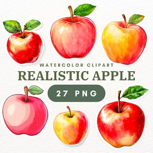 Pacote com 27 cliparts realistas de maçã PNG, clipart de maçã vermelha, gráficos de volta às aulas, download instantâneo