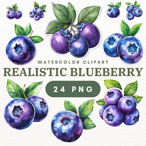24 PNG Blueberry Clipart: Watercolor Fruit, Images, Graphics, Basket & Berries for Smoothies