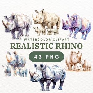 43 PNG Realistic Rhino, Rhino Clipart, Rhinoceros PNG, Rhino Drawing, Safari Animal, Sumatran Rhino, Cartoon Rhino, Rhinoceros Image