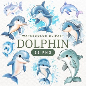 38 PNG Dolphin Clipart - Dolphin Image, Cute Dolphin, Sea Creatures, Ocean Animals, Marine Life, Cute Sea Animals, Ocean Clipart.