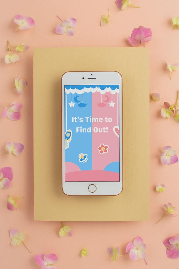 It’s a Girl or It’s a Boy Gender Reveal Video, Digital Pregnancy Announcement for Social Media, Ready to Use MP4 File – Digital Announcement
