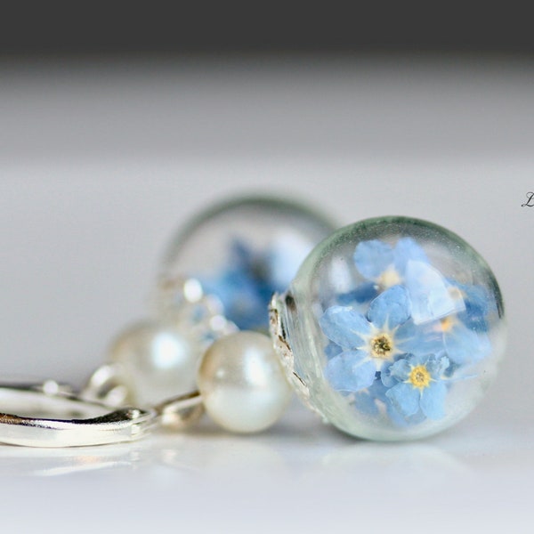 Ohrringe Vergissmeinnicht Blüten,  gepresste Blüten Vergissmeinnicht in Glaskugel mit Perle / Geschenk Verliebte / Geschenk für die Freundin