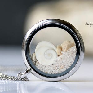 Necklace Medallion - Shell with Shivas Eye