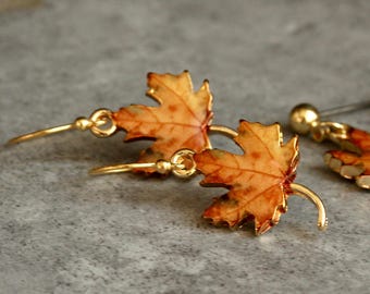 May include: Gold-toned leaf earrings with a detailed maple leaf design. The leaves are in shades of orange, brown, and red, with gold accents. The earrings have a hook closure. A pair of earrings with a nature-inspired theme.