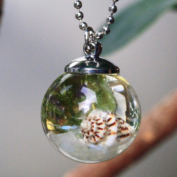 Collier coquillage pierre de lune et mousse aquarium ou terrarium en résine coulée a immortalisé un morceau de fond marin en collier en cadeau pour elle