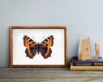 Watercolour butterfly print: Aglais Urticae (Small Tortoiseshell) Illustration Painting