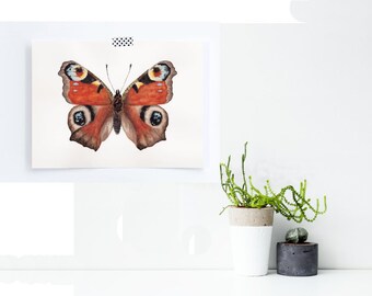 Watercolor butterfly print: Aglais io (Peacock butterfly) Illustration Painting