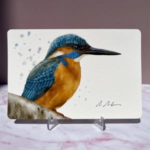 ArtBLEU Kunstdruck Postkarte Aquarell Zeichnung 10 x 15 cm | Eisvogel handgemalt | 300gsm Baumwoll-Papier | runde Ecken | farbige Umschläge