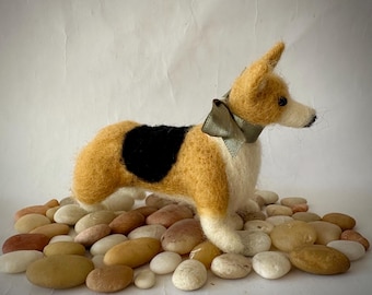Naaldvilten driekleurige Pembroke Welsh Corgi-puppy