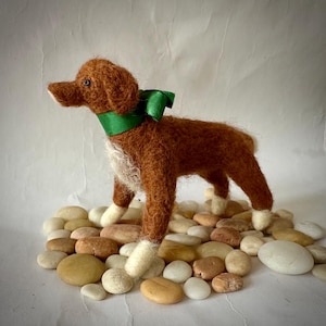 Gefilzter Nova Scotia Duck Tolling Retriever Welpe