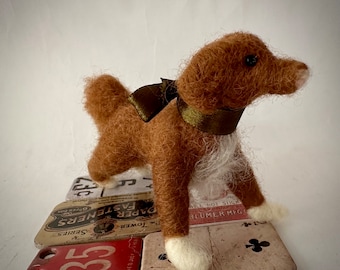 Naaldvilten Nova Scotia Duck Tolling Retriever-puppy