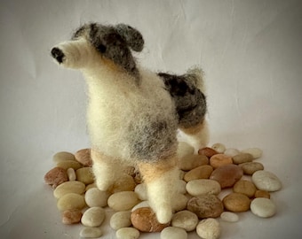 Naaldvilt Blue Merle Australian Shepherd Dog