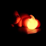 Charizard Home Decor