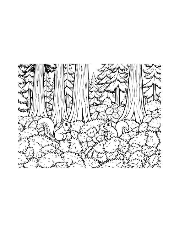 Majestic Trees, A Beautiful Forest Coloring Book, Rainforest Treasures, A Jungle Journey to Color