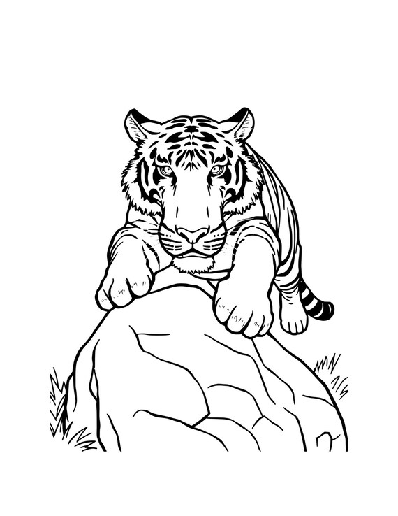 Feline Kingdom, a majestic coloring book, Feline majestic coloring book, Cat Kingdom A Big Cat and Domestic Cat Coloring Adventure