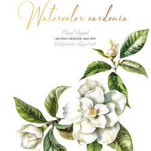 Elegante set de imágenes prediseñadas de acuarela de gardenia blanca: flores botánicas y esquinas florales para invitaciones de boda